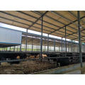 Poultry Farm Industrial Metal Frame Steel Prefabricated Cattle Barn Agricultural Shed